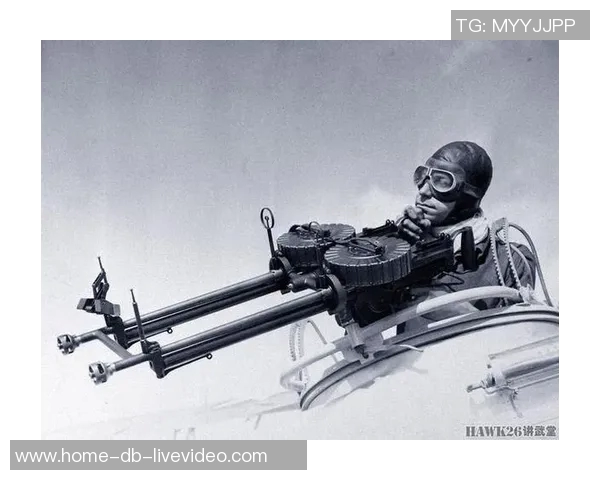 刘易斯与迈考尔在二战中的较量与战略博弈分析